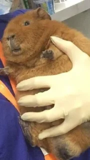 🥰