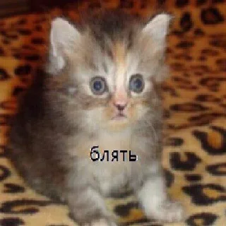 😳