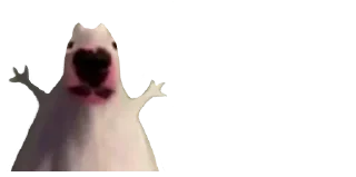 😮