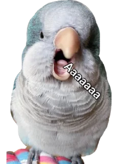😲