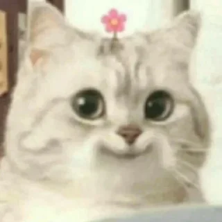 🙂