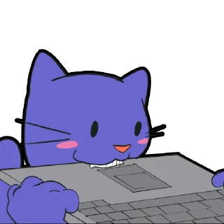💻