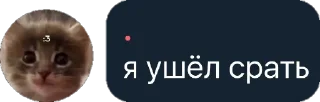💩