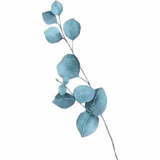 🌹