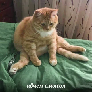 😶