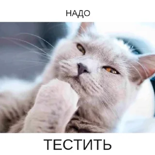 🤔