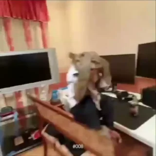 🌟