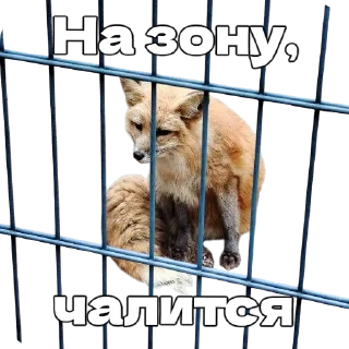 👮‍♂