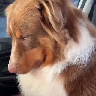 😌