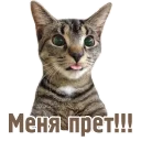 😜
