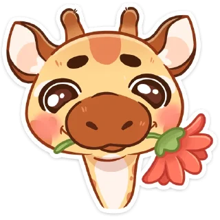 🌻