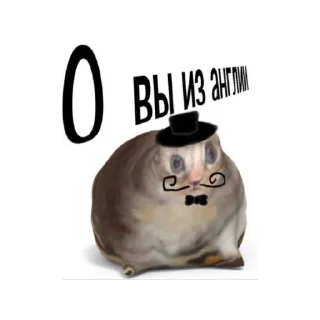 🏴󠁧󠁢󠁥󠁮󠁧󠁿