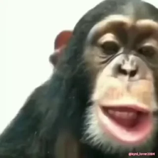 😛