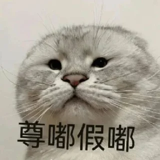 😂