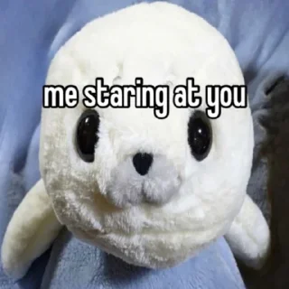 👀