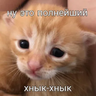 😥