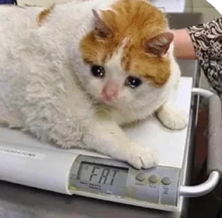 😭