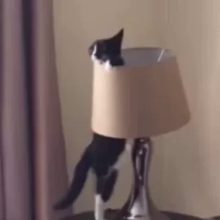 💡