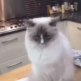 🥰
