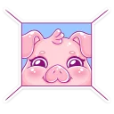 🐽