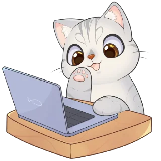💻