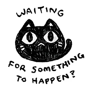 🐱