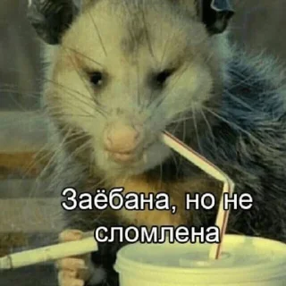 🚬