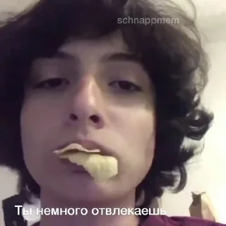 Финн :: @fStikBot
