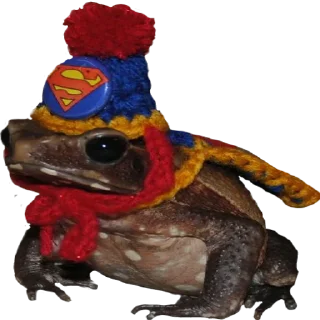 🦸‍♂