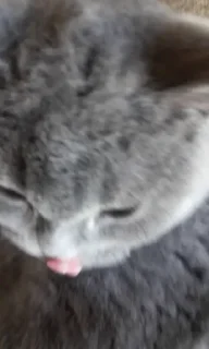 💟