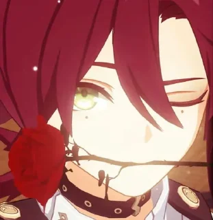 🌹