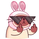 😎