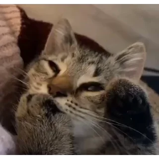 🥰
