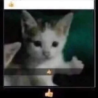 👍