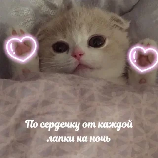 💗