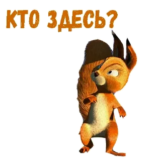 🙀