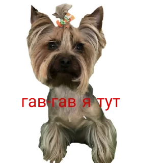 😄
