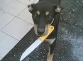 🔪