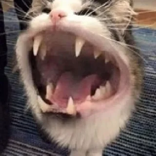🥱