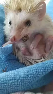 ☺