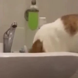 ☺️