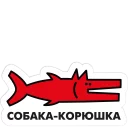 🐟
