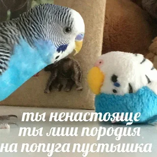 🤖