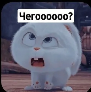 🤨