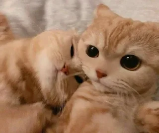 💍