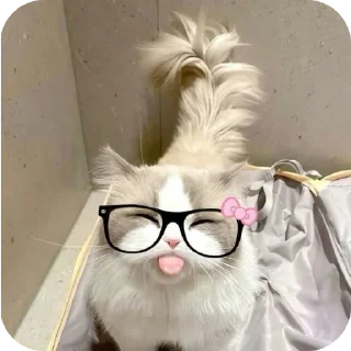 👓