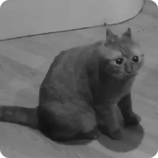 😞