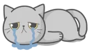 😭