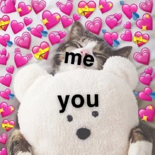 🐱