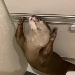 😱
